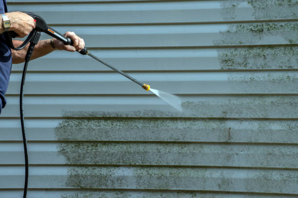 Best House Exterior Washing  in East Prairie, MO